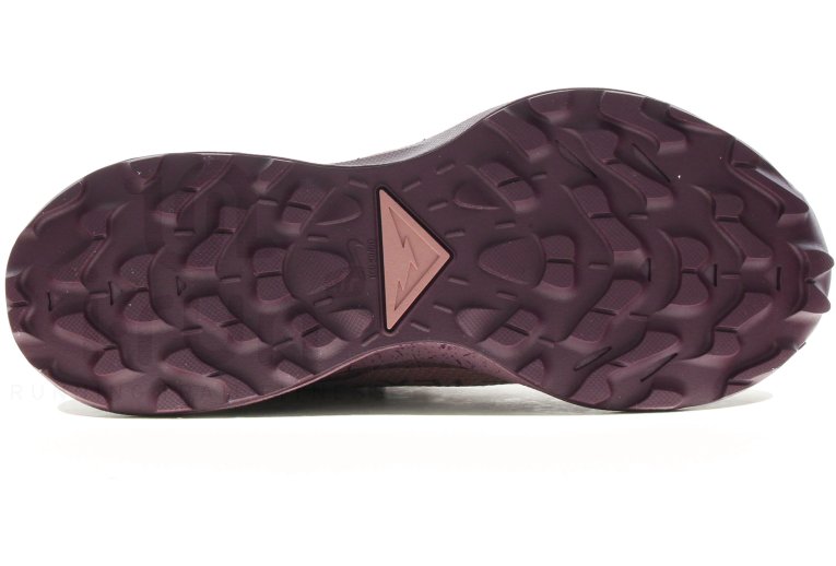 Nike Pegasus Trail 2 Gore-Tex