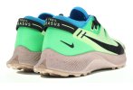 Nike Pegasus trail 2