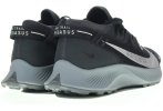 Nike Pegasus Trail 2