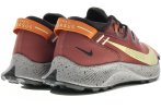 Nike Pegasus Trail 2