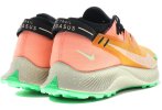 Nike Pegasus Trail 2 Herren