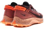 Nike Pegasus Trail 2