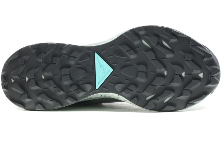 Nike Pegasus Trail 2