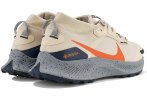 Nike Pegasus Trail 3 Gore-Tex Herren