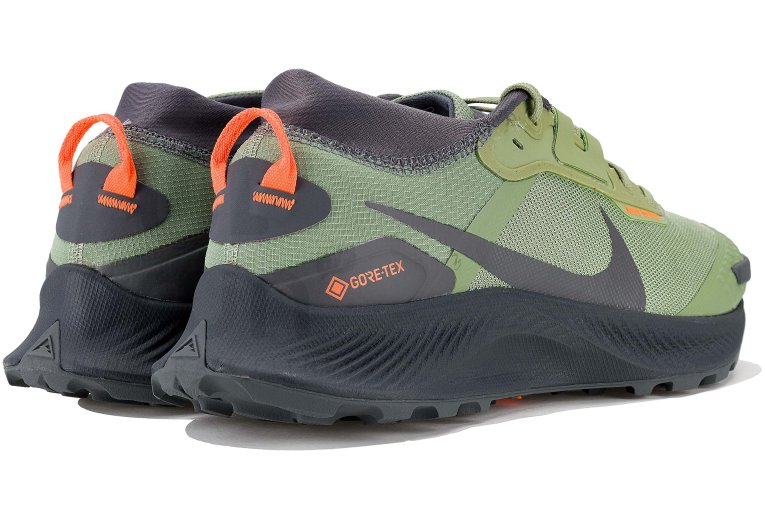 Nike Pegasus Trail 3 Gore-Tex