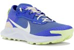Nike Pegasus Trail 3 Gore-Tex