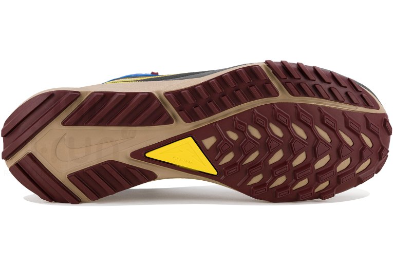 Nike Pegasus Trail 4 Gore-Tex