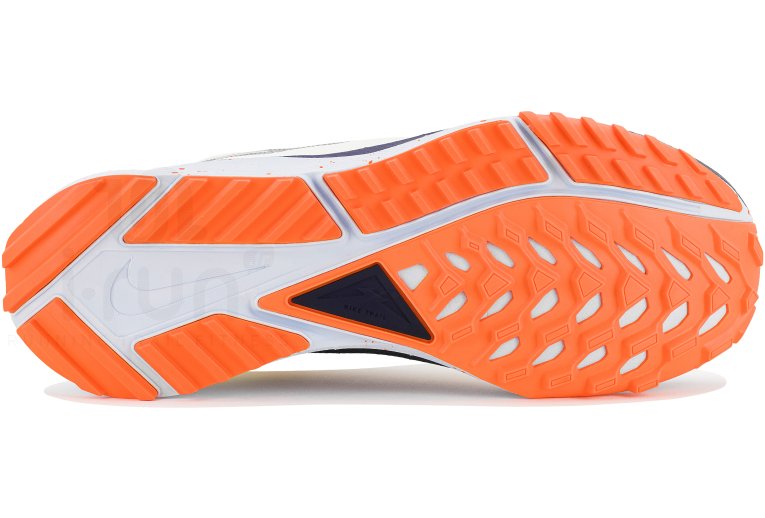 Nike Pegasus Trail 4 Gore-Tex
