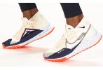 Nike Pegasus Trail 4 Gore-Tex