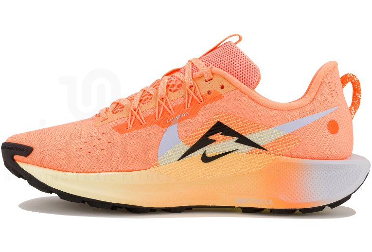 Nike Pegasus Trail 5