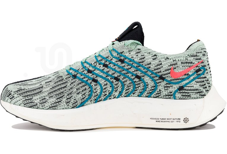 Nike Pegasus Turbo Next Nature