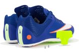 Nike Zoom Rival Sprint Herren