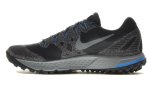 Nike Zoom Wildhorse Gore-Tex