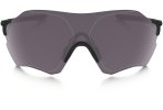 Oakley Gafas EVZero Range Prizm Daily Polarized