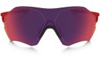 Oakley Gafas EVZero Range Prizm Road