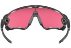 Oakley Jawbreaker Prizm Snow