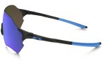 Oakley Gafas EVZero Range Polarized