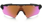 Oakley Gafas Radar EV Path Prizm Road