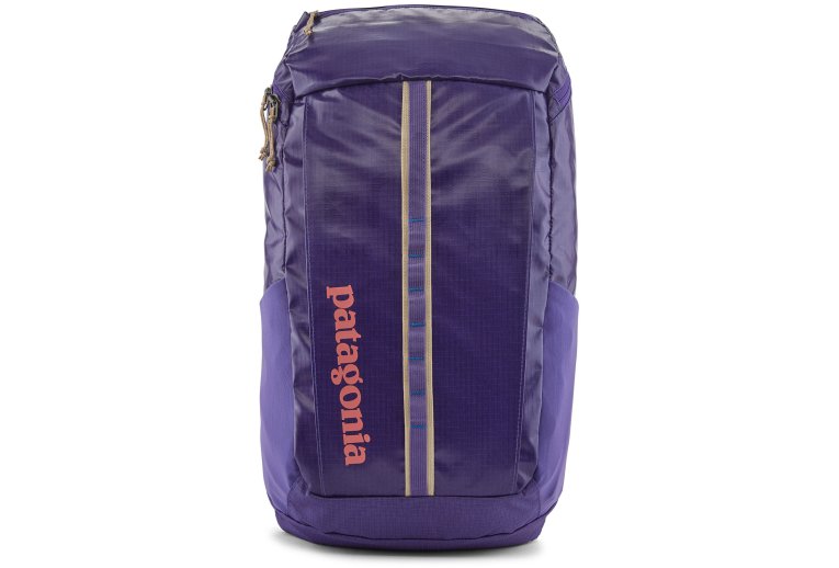 Patagonia Black Hole Pack 25L