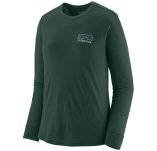 Patagonia Capilene Cool Merino Blend Graphic