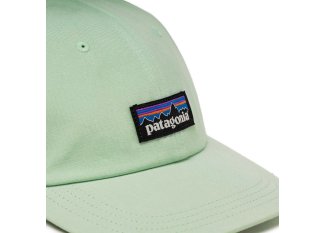 Patagonia P-6 Label Trad