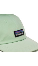 Patagonia P-6 Label Trad