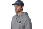 Patagonia P-6 Logo LoPro Trucker