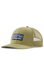 Patagonia P-6 Logo Trucker