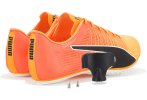 Puma evoSPEED Brush 6 Herren
