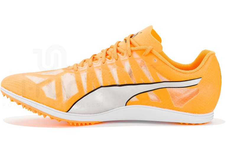 Puma evoSPEED Distance 10 Damen