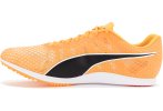 Puma :evoSPEED Distance 11 Herren