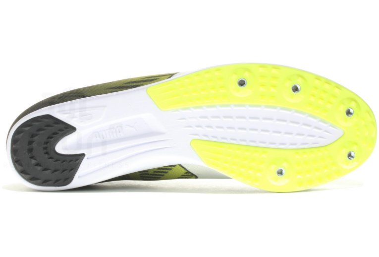 puma evospeed 7