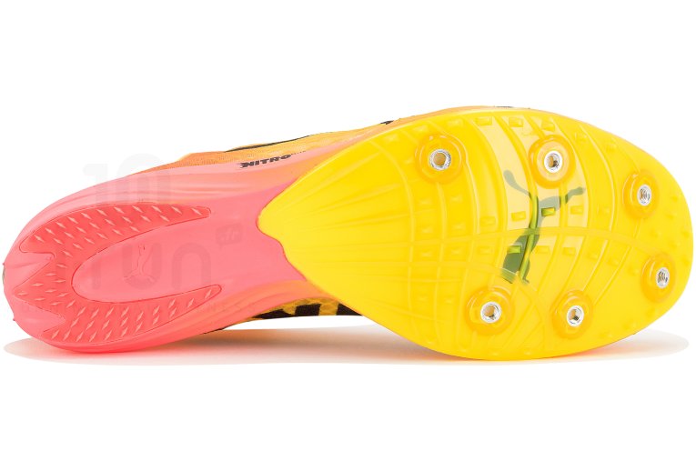 Puma evoSPEED Distance Nitro Elite+ 4 Damen