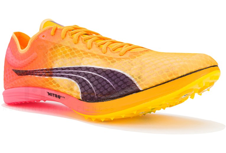 Puma evoSPEED Distance Nitro Elite+ Damen