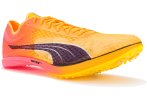 Puma evoSPEED Distance Nitro Elite+ Damen
