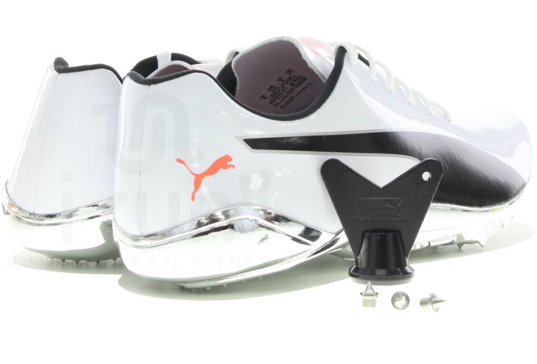 puma evospeed electric 10