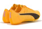 Puma evoSPEED Future 6