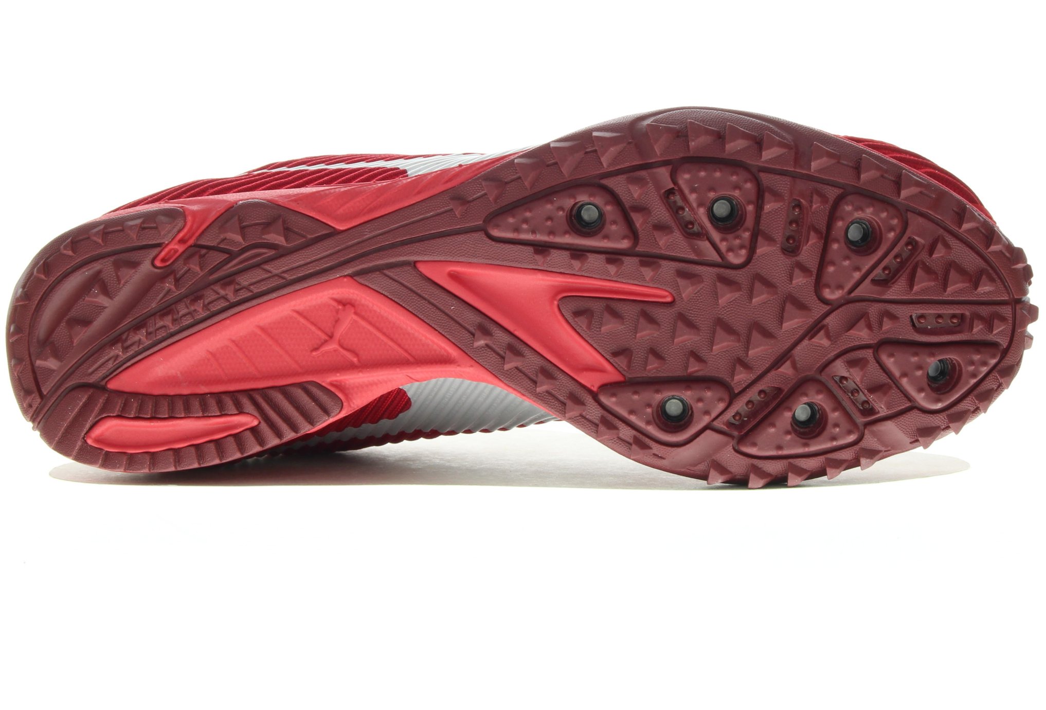 puma evospeed haraka 5