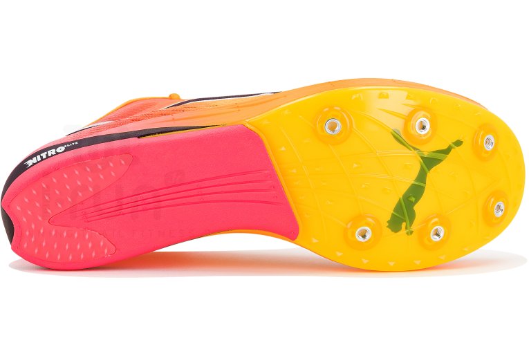 Puma evoSPEED LD Nitro Elite+ Herren