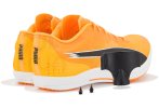 Puma evoSPEED Long Distance Damen