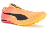 Puma evoSPEED Long Distance Nitro Elite+ 2 W