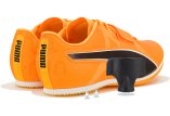 Puma evoSPEED Long Jump 11