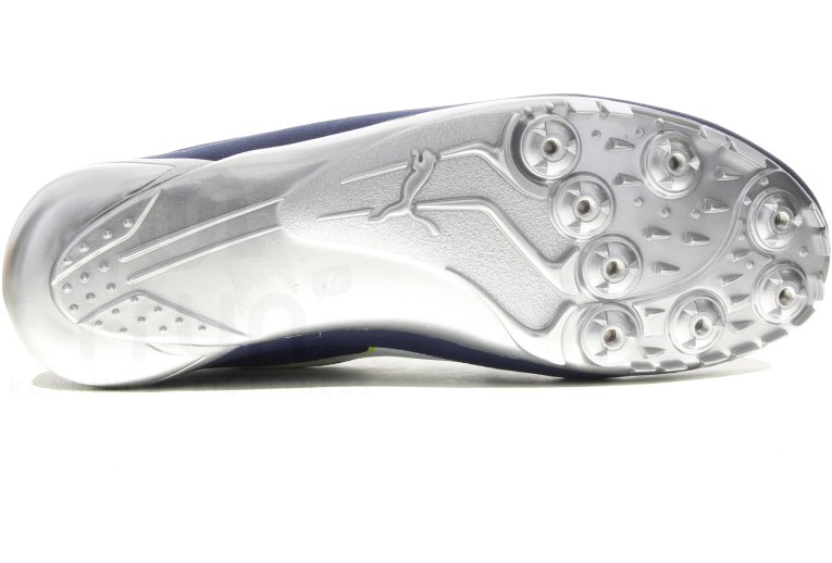 evospeed netfit