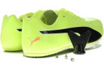 Puma EvoSpeed Sprint 10