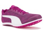 Puma evoSPEED Star 7 Damen