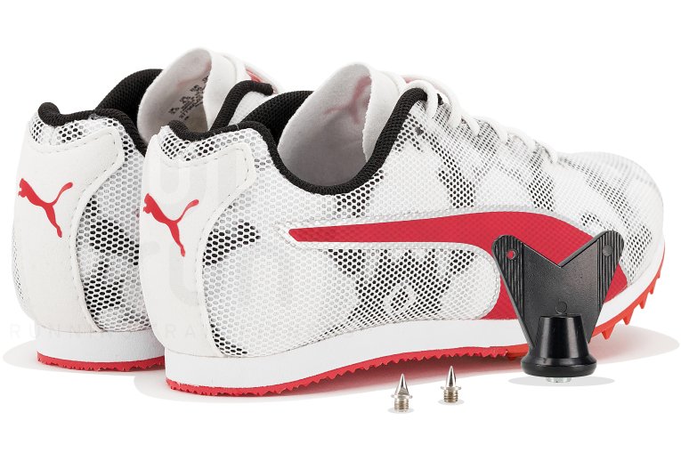 Puma evoSPEED Star 8