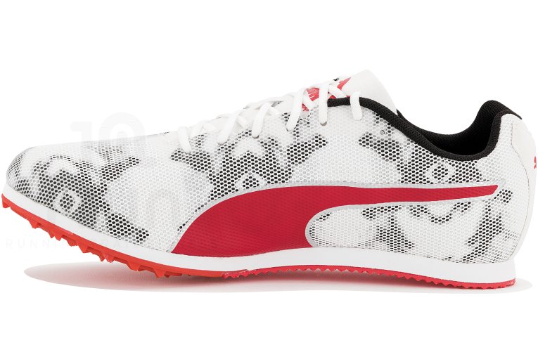 Puma evoSPEED Star 8 W