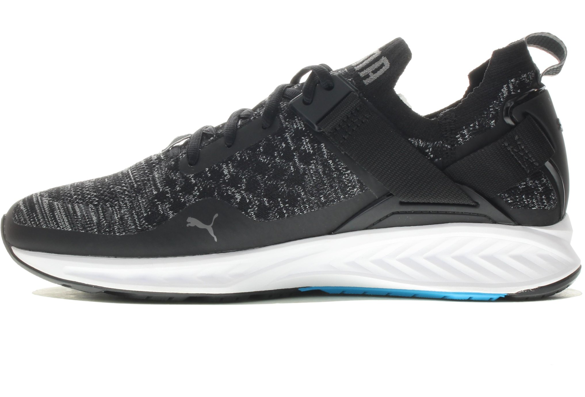 puma ignite evoknit homme