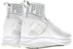 Puma Ignite EvoKnit