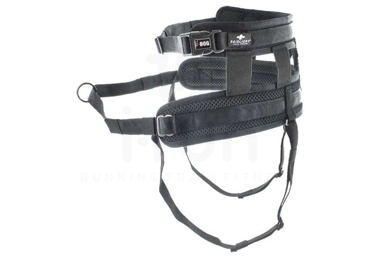 Raidlight Baudrier i-Dog